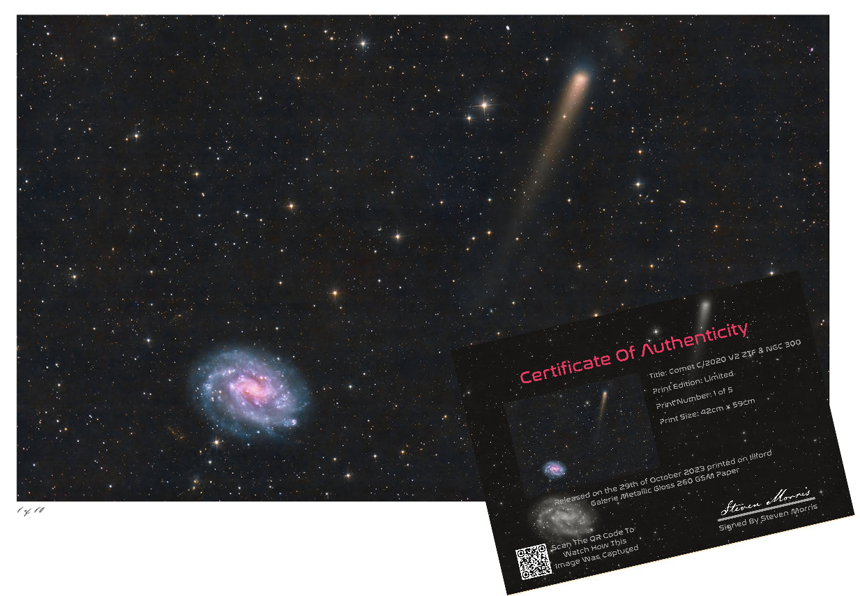 Comet C/2020 V2 ZTF and NGC 300